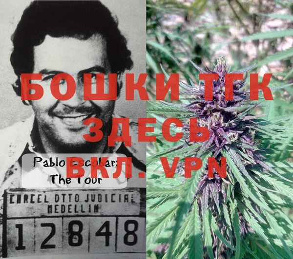 дживик Медвежьегорск