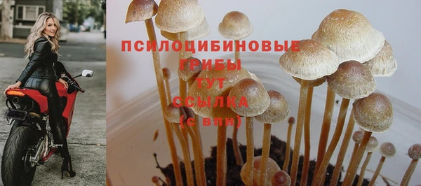 каннабис Мегион