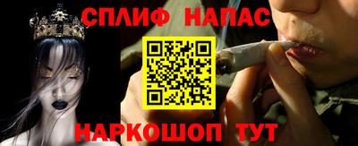 дурь Гай
